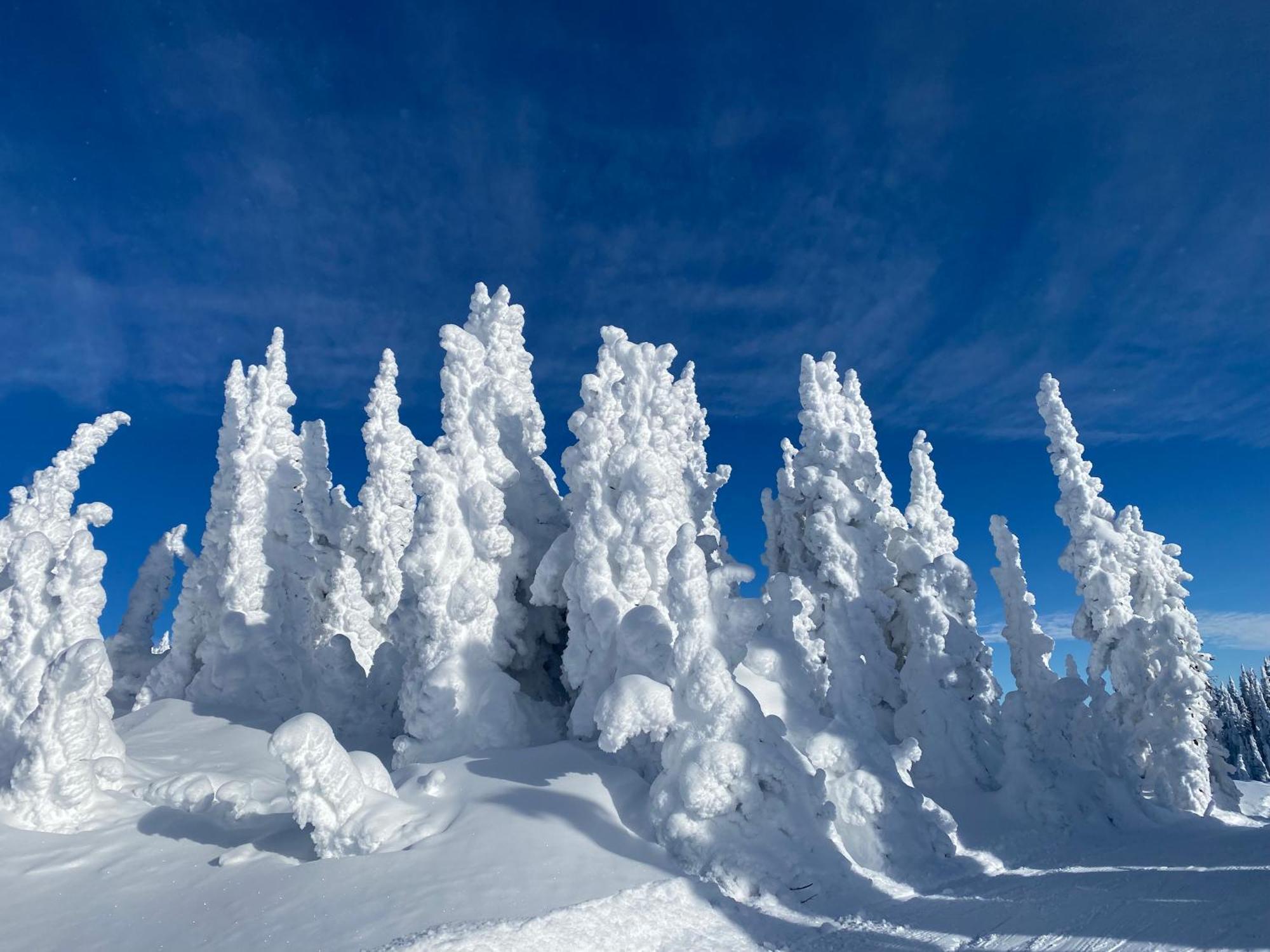 Morrisey Chalet At Sun Peaks Luaran gambar
