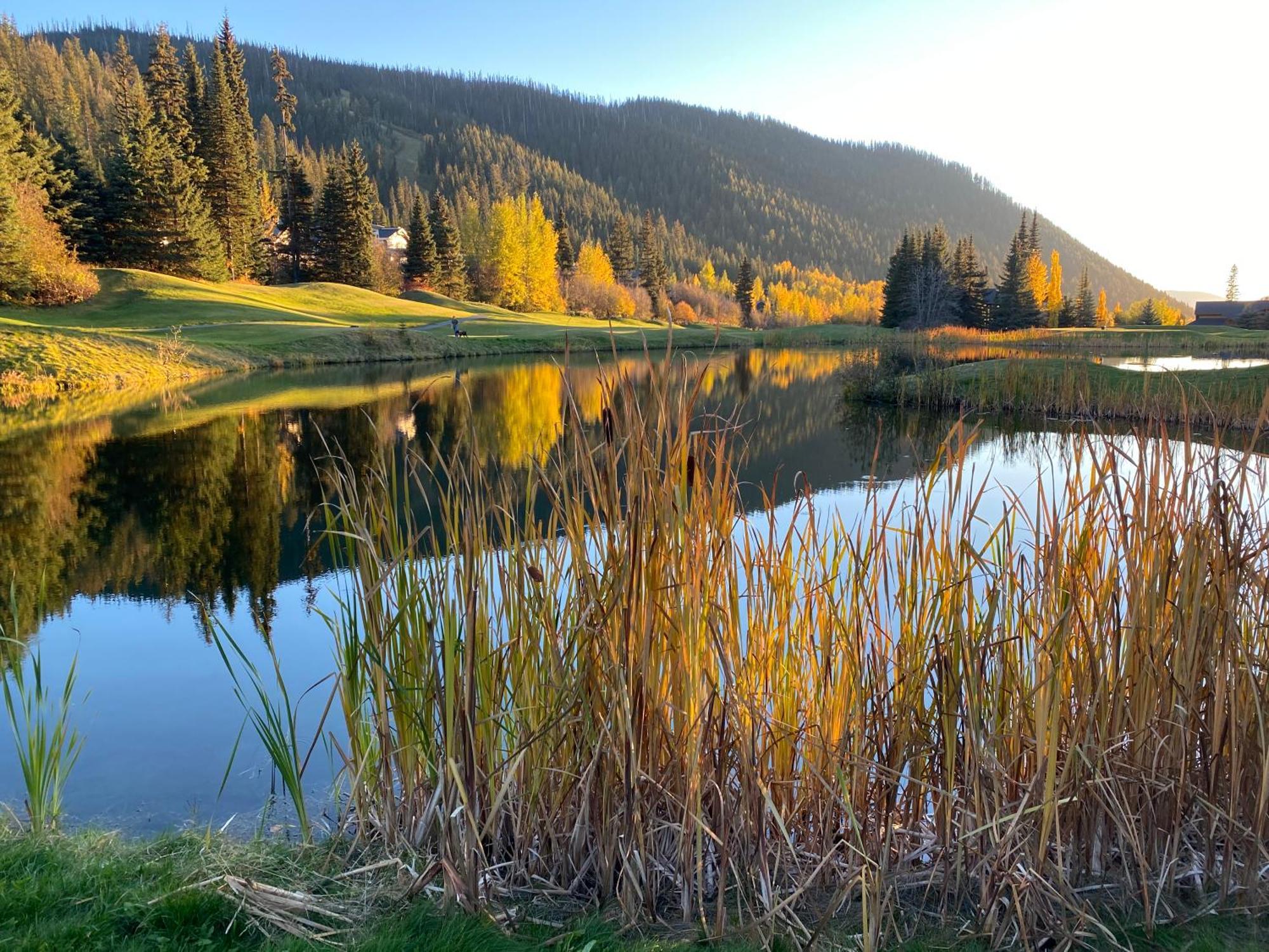 Morrisey Chalet At Sun Peaks Luaran gambar